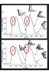 Graph 1