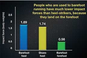 Graph 3