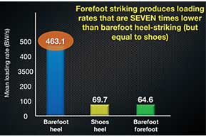 Graph 4