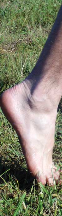 Barefoot science